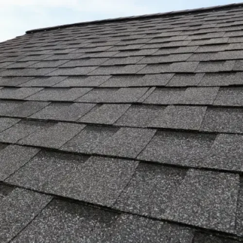 Shingle-Roof-1 (1) Asphalt Shingle Roofs